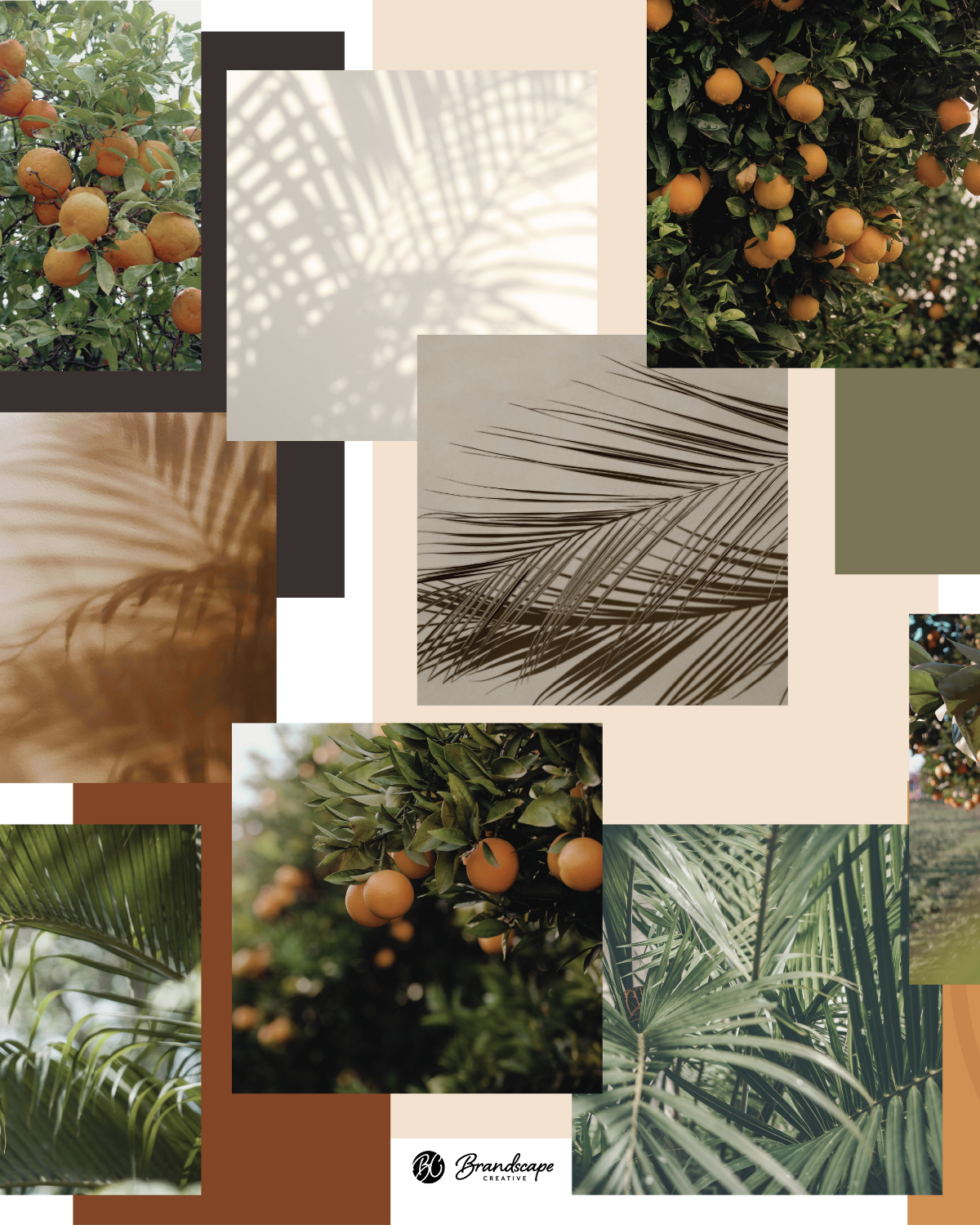 Citrus Palms Realty Brand Mockups