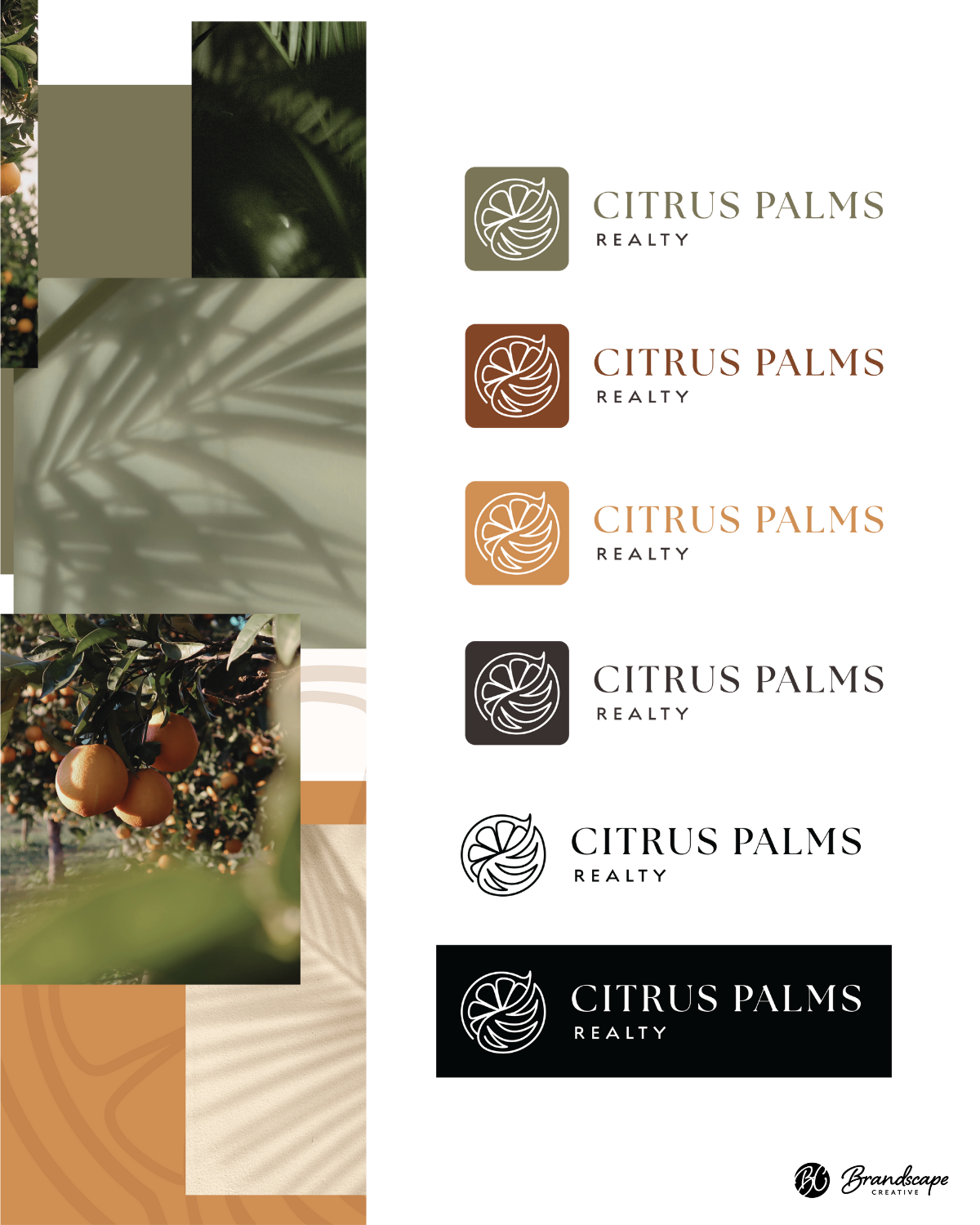 Citrus Palms Realty Brand Mockups